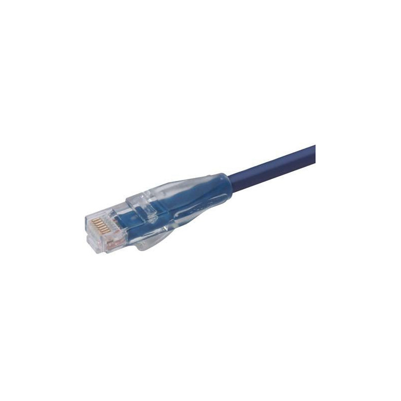 Wassalat Premium Cat 6 Cable, RJ45 / RJ45, Blue