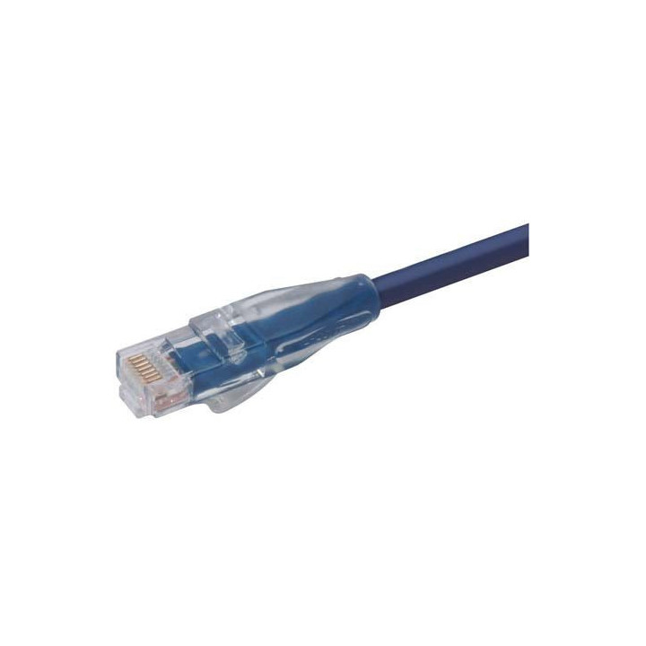 Wassalat Premium Cat 6 Cable, RJ45 / RJ45, Blue