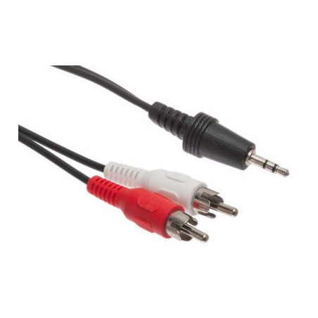 3.5mm Stereo Male to Dual RCA Male Cable