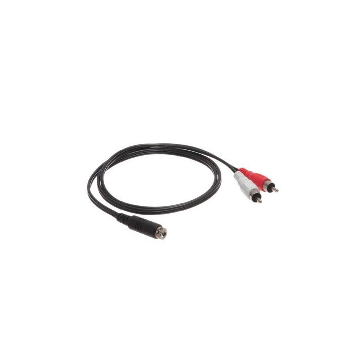 Car Audio Installation Cable - Panel Mount 3.5mm Stereo Female to Dual RCA Male