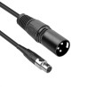 Mini XLR